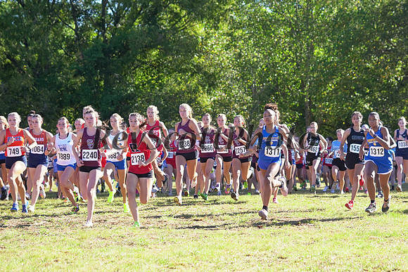 MSCCA XC