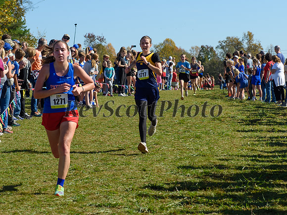HXN Championships 2024