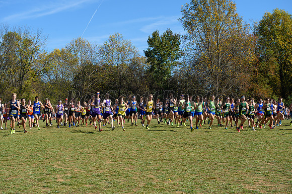 HXN Championships 2024