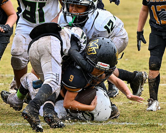 CC Bears 2025 v Percy Priest