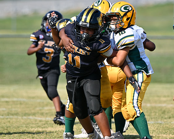 CC Bears -