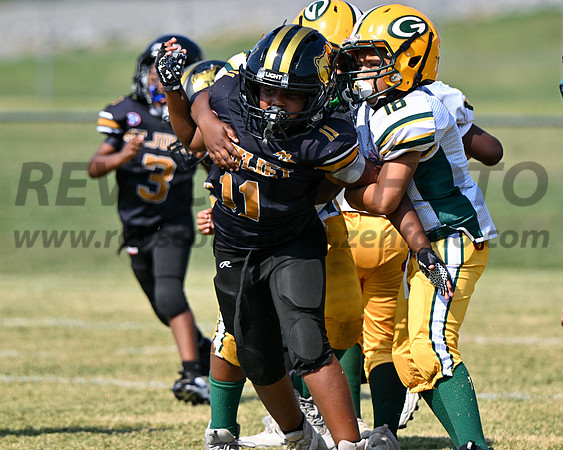 CC Bears -