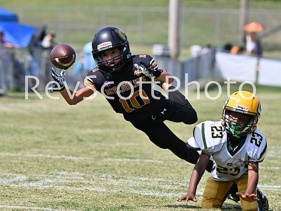 BB MJ Bears - 3 Samson