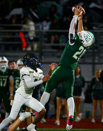 Mount Juliet v Green Hill