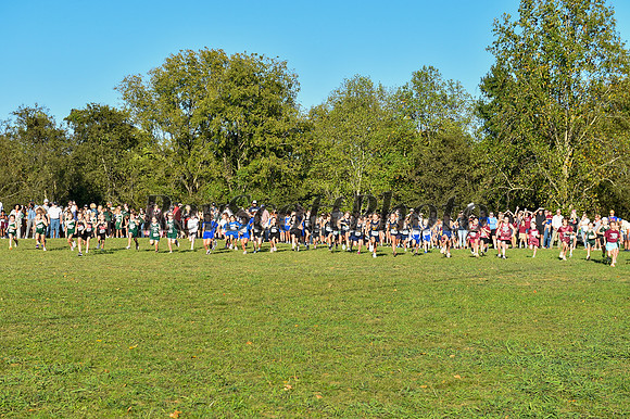 2024 Elementary XC