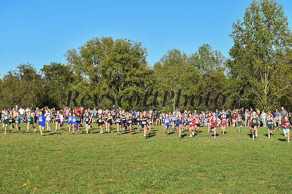 2024 Elementary XC