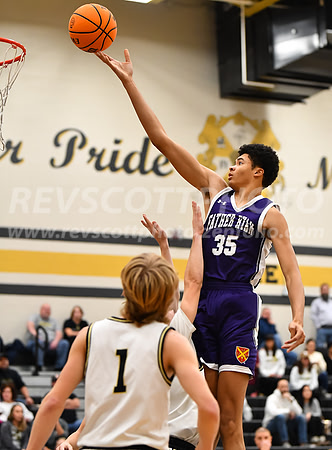 Father Ryan v Mount Juliet