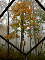 Mysterious Cross