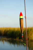 Hird Island 2011