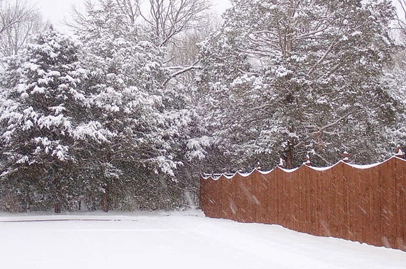 Winter Background 2