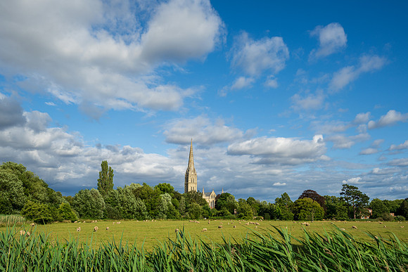 Salisbury
