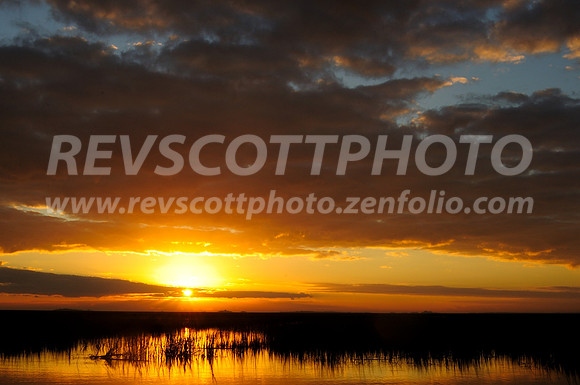 Golden Sunrise