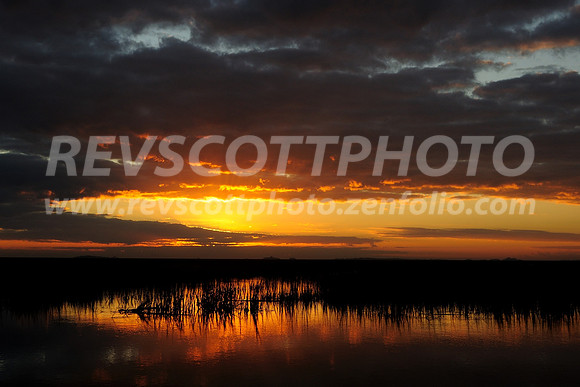 Sunrise over the river