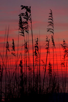 Red Sunset at the beach