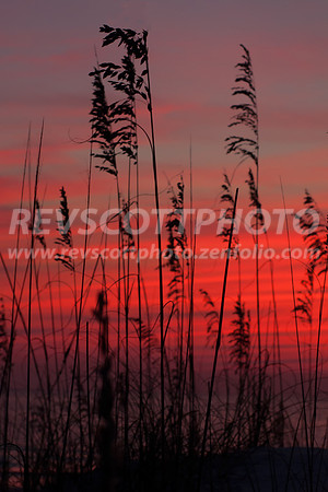 Red Sunset at the beach