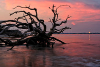 Jekyll Island
