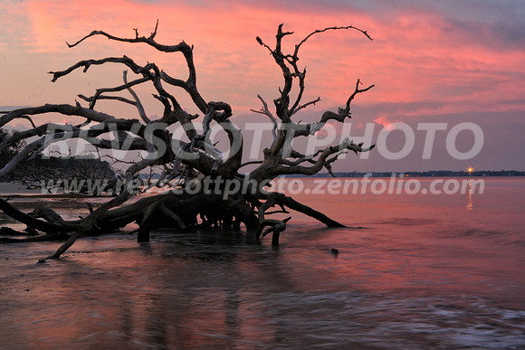 Jekyll Island