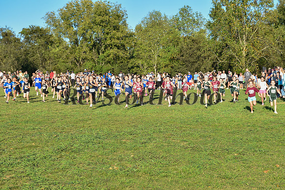 2024 Elementary XC