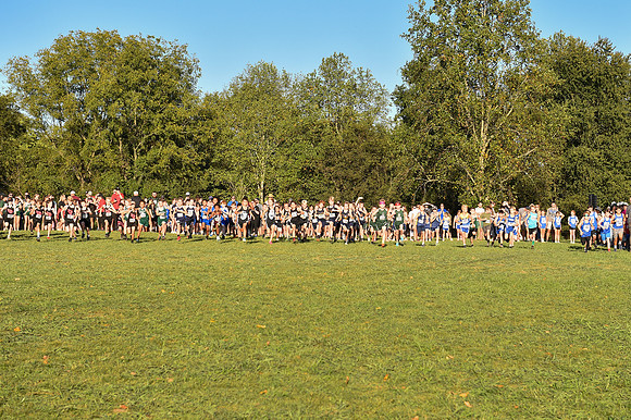 2024 Elementary XC