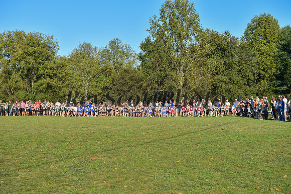 2024 Elementary XC