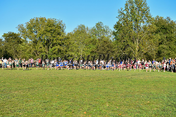 2024 Elementary XC