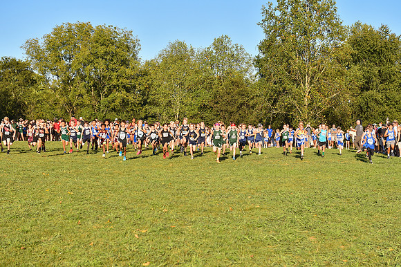 2024 Elementary XC