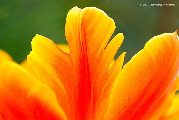 Colorful Abstract