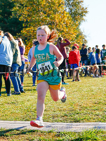 HXN Championships 2024