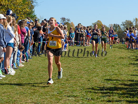 HXN Championships 2024
