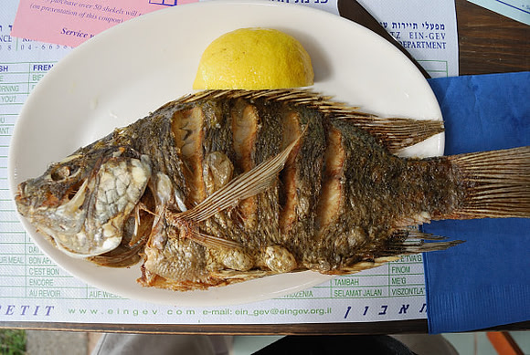 St. Peter's Fish