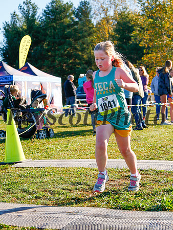 HXN Championships 2024