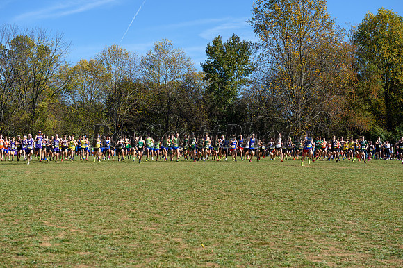 HXN Championships 2024