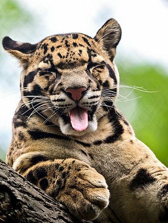 Nashville Zoo