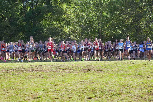 MSCCA XC