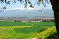 Tel Hazor