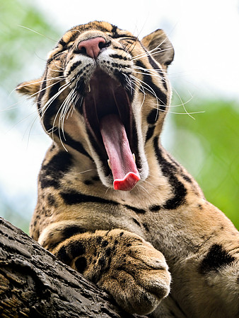 Nashville Zoo